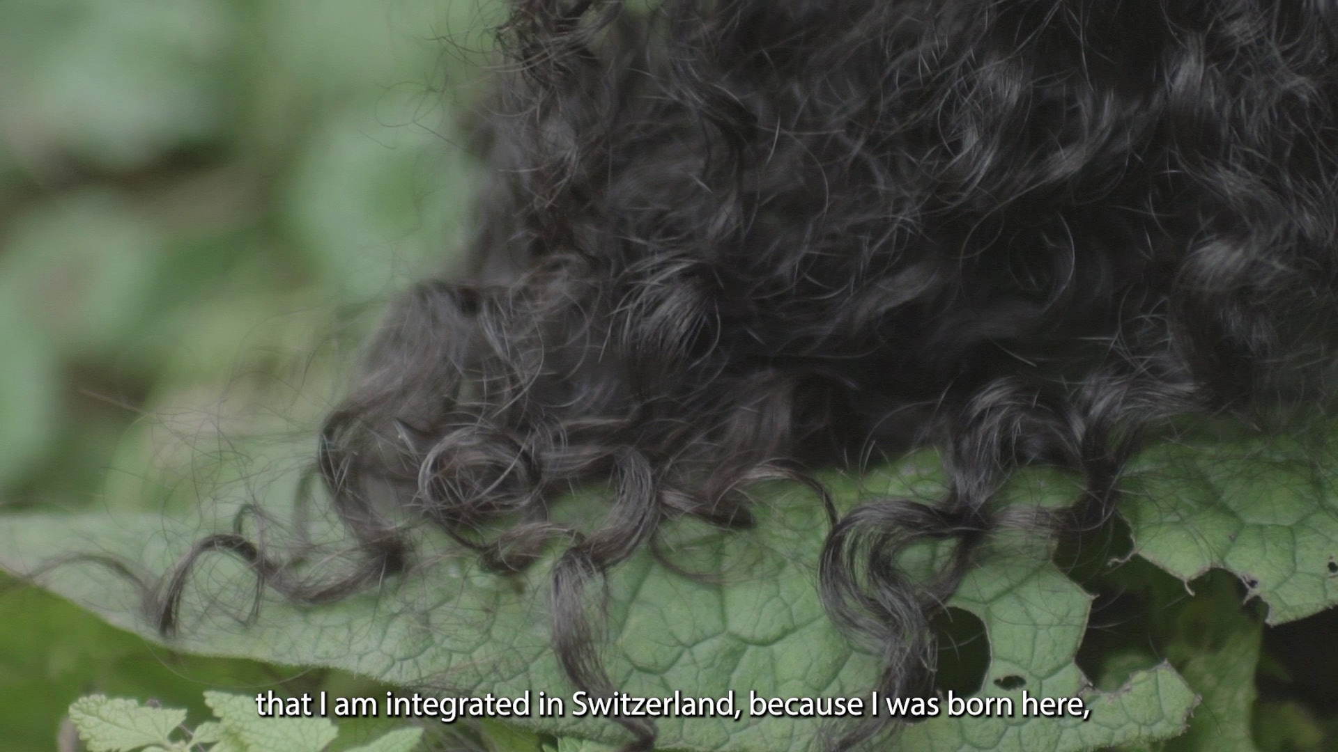XWE still — that I am integrated in Switzerland